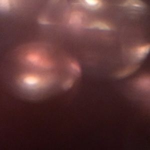 Meet your Posher, Sandy